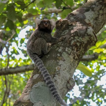 Panama & Nicaragua Rundreise